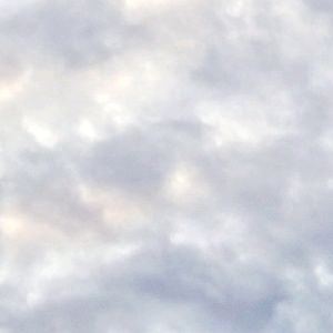 Meet your Posher, Dennis